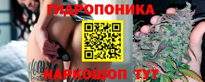 ешки Жуковский