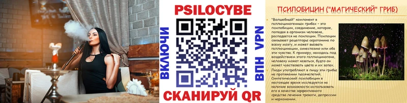 закладки  Шумерля  МЕГА ссылки  Псилоцибиновые грибы Psilocybine cubensis 