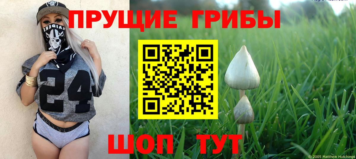 Шумерля  Псилоцибиновые грибы Psilocybe  Псилоцибиновые грибы Psilocybine cubensis  Вход с VPN 