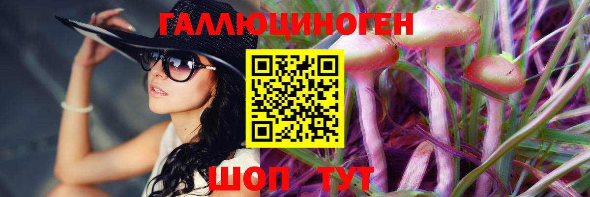 Галлюциногенные грибы GOLDEN TEACHER  Шумерля  Псилоцибиновые грибы Psilocybine cubensis 