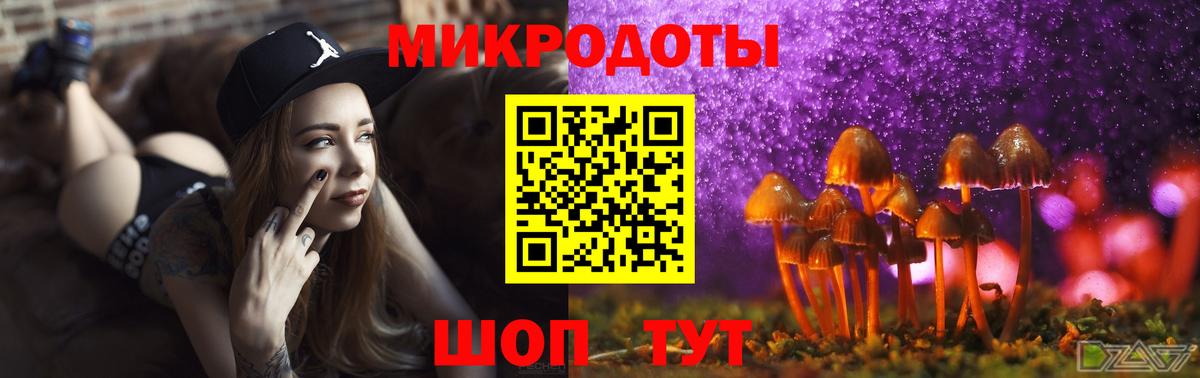 Галлюциногенные грибы мицелий Шумерля